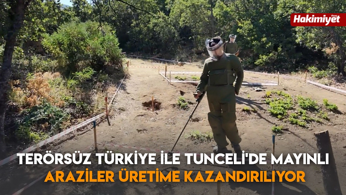 Terörsüz Türkiye ile Tunceli'de mayınlı araziler üretime kazandırılıyor