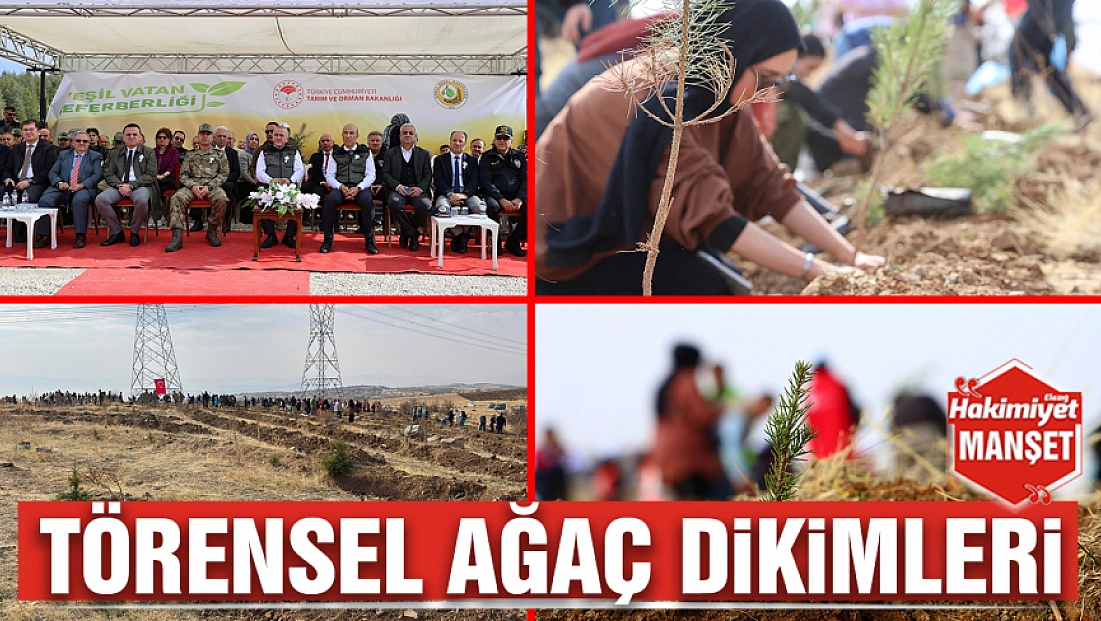 Törensel ağaç dikimleri