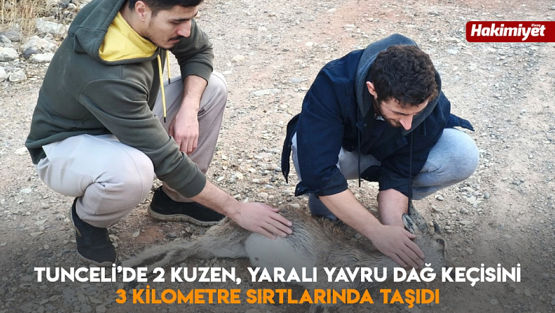 Tunceli’de 2 kuzen, yaralı yavru dağ keçisini 3 kilometre sırtlarında taşıdı