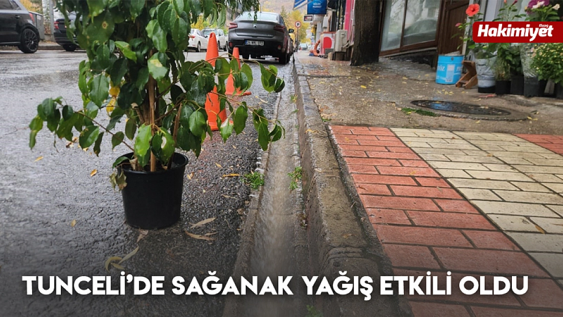 Tunceli’de sağanak yağış etkili oldu