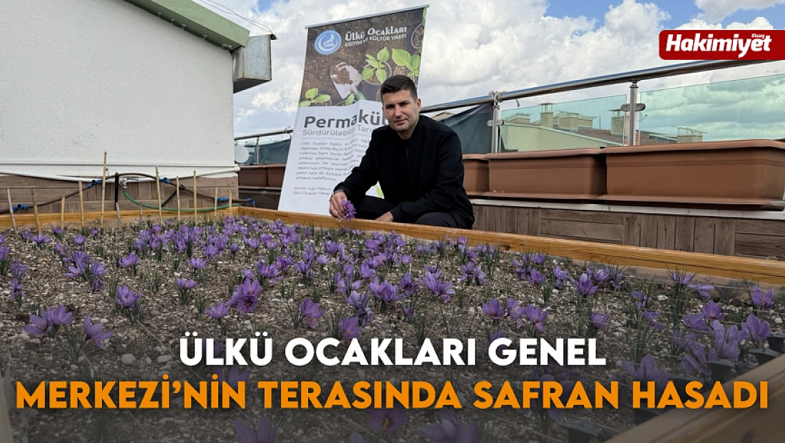 Ülkü Ocakları Genel Merkezi’nin Terasında Safran Hasadı