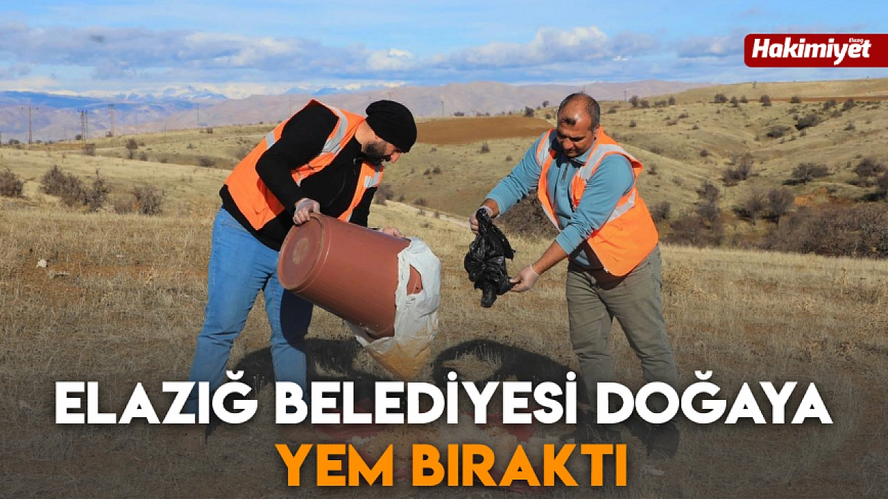 Elazığ Belediyesi doğaya yem bıraktı