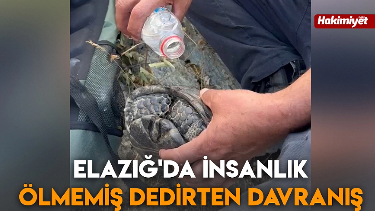 Elazığ'da insanlık ölmemiş dedirten davranış