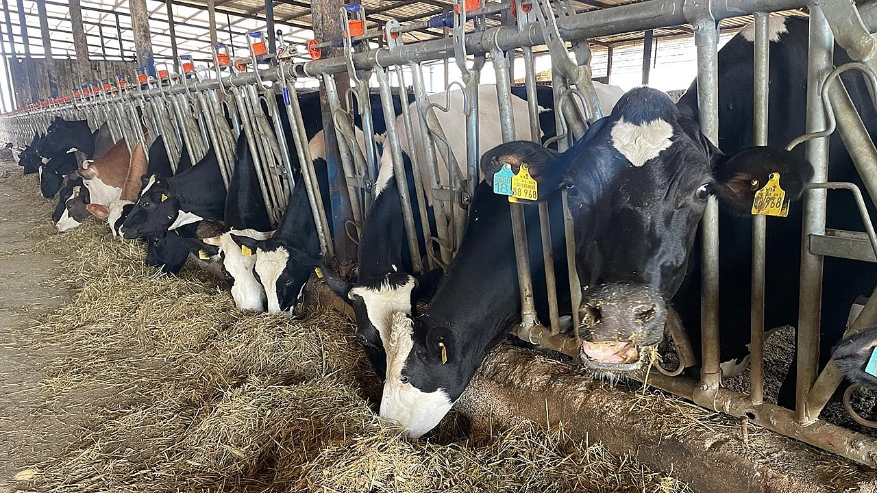 Et fiyatları yükselecek mi?