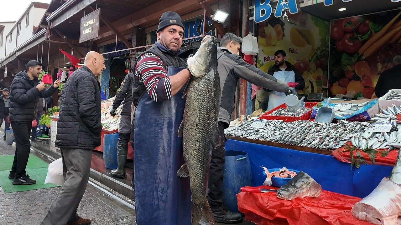 Elazığ'da dev turna balığı yakalandı
