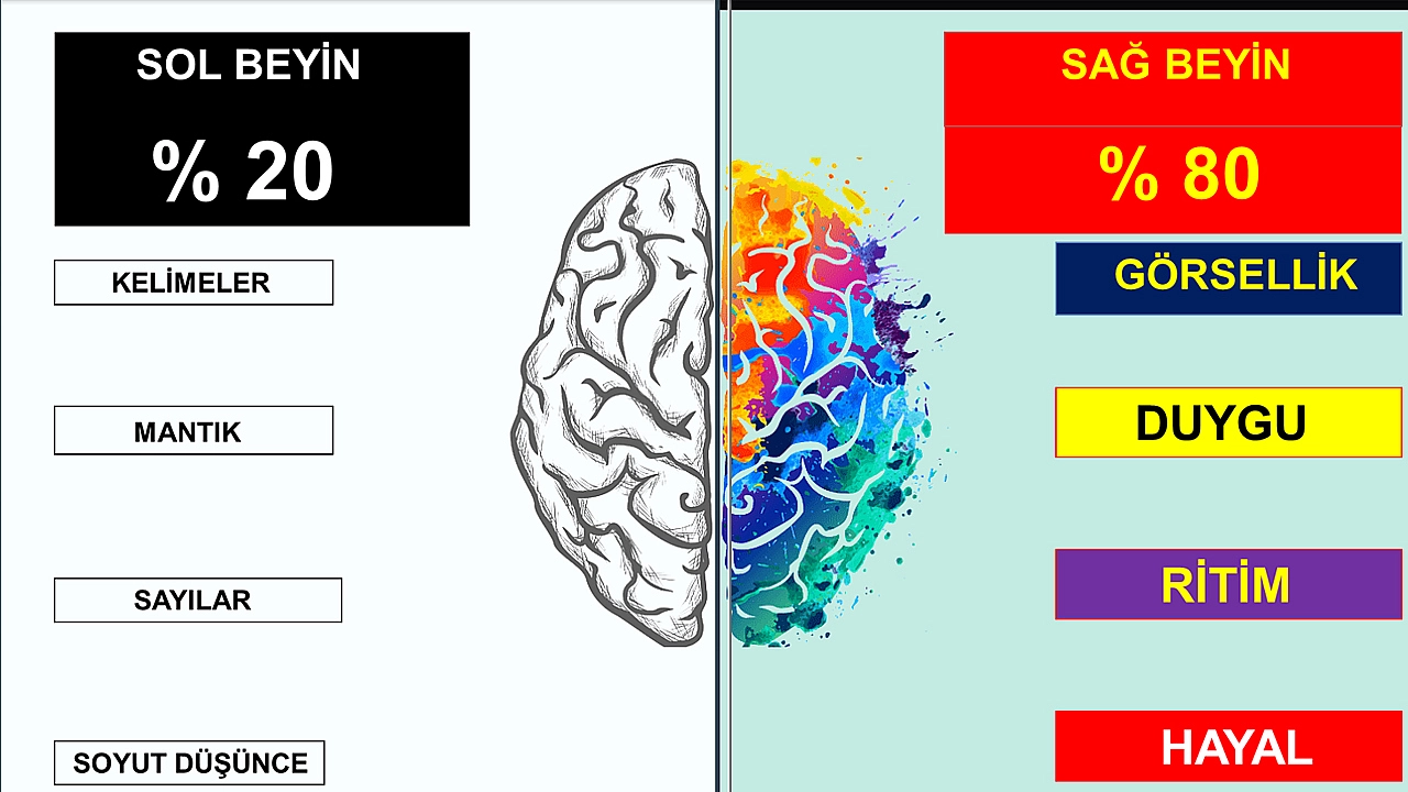 İnsan beyni nasıl öğreniyor ve öğrenmede neyi seviyor?