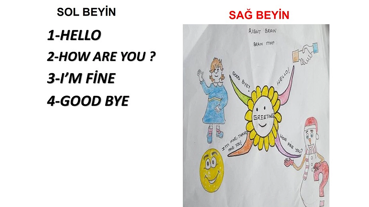 İnsan beyni nasıl öğreniyor ve öğrenmede neyi seviyor?