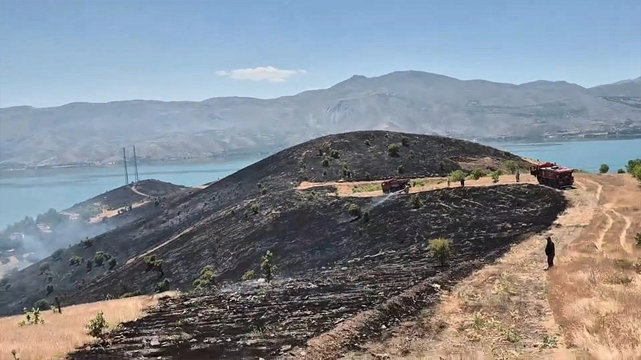 Yangınlara karşı ortak mücadele çağrısı