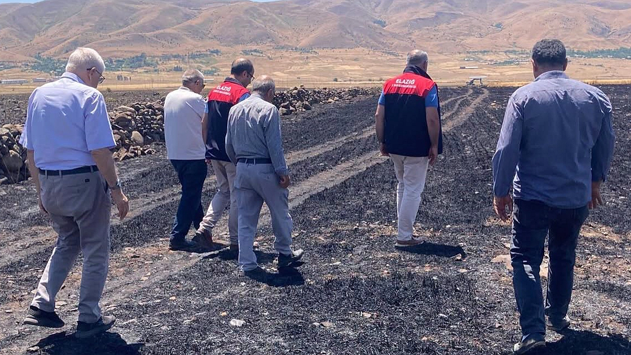 Yangınlara karşı ortak mücadele çağrısı