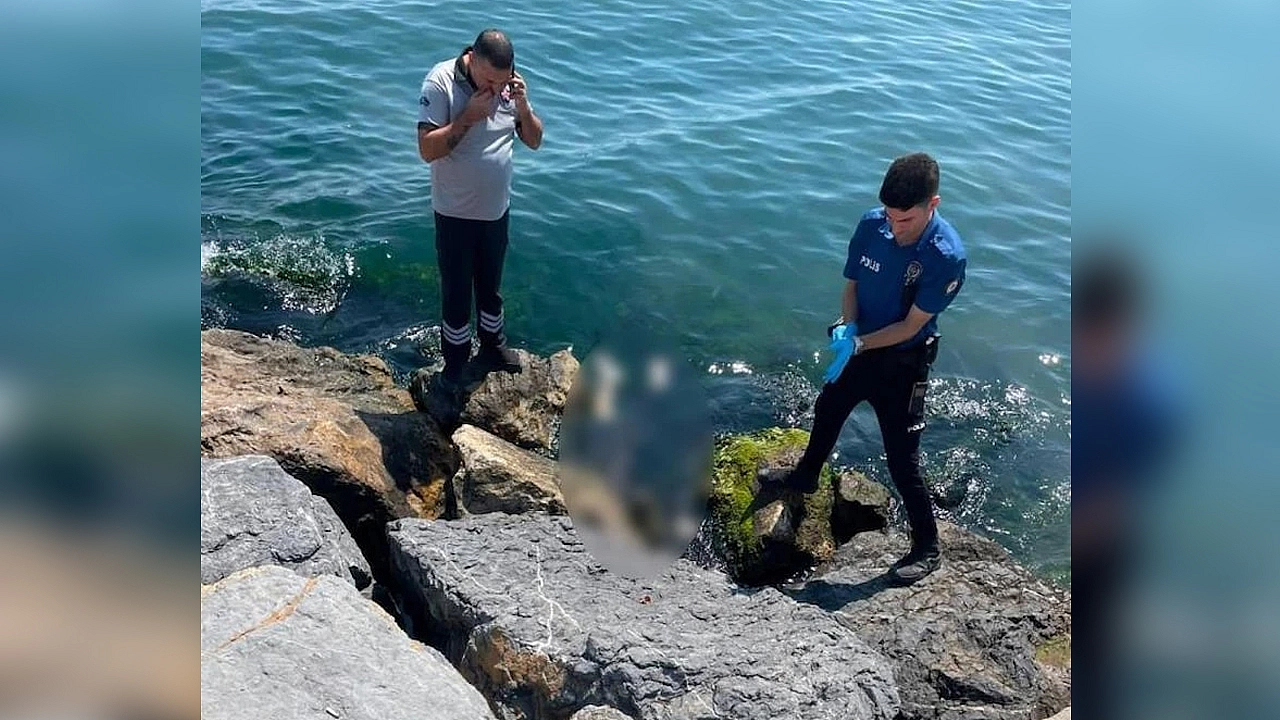 3 Kardeşin cansız bedeni bulundu: 4. kardeş sağ çıktı