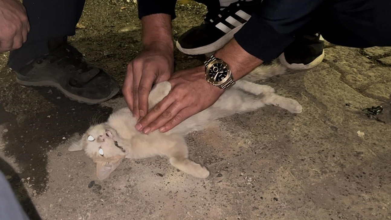 Bingöl'de yürek burkan anlar!