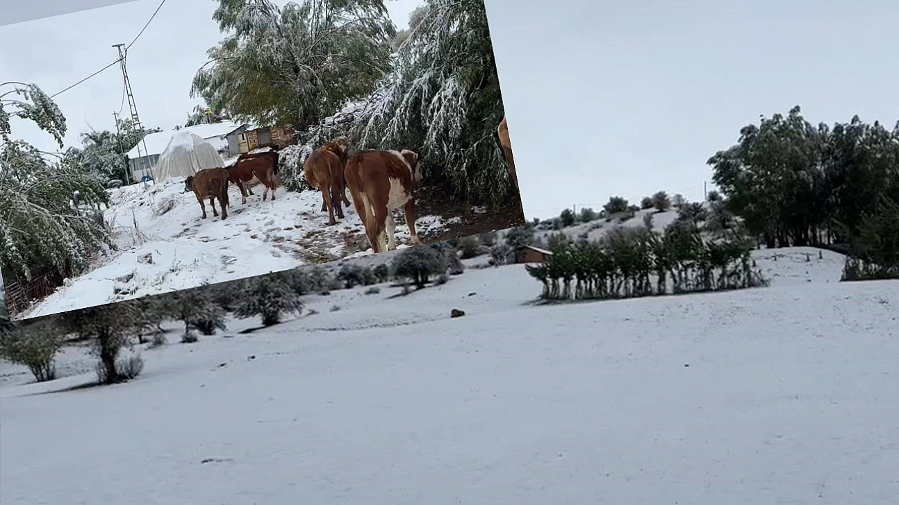 Bingöl'ün yüksek kesimleri beyaz örtüyle kapladı