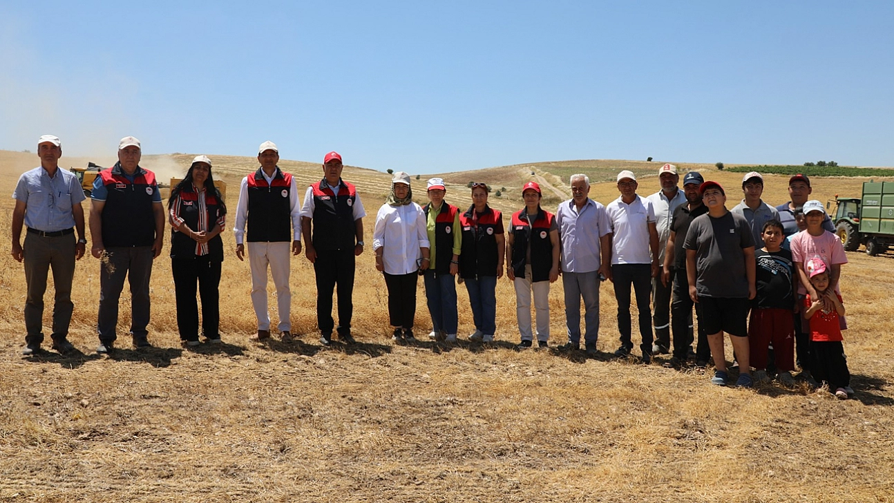 Elazığ'da TAKE desteğiyle mercimek üretimi artıyor