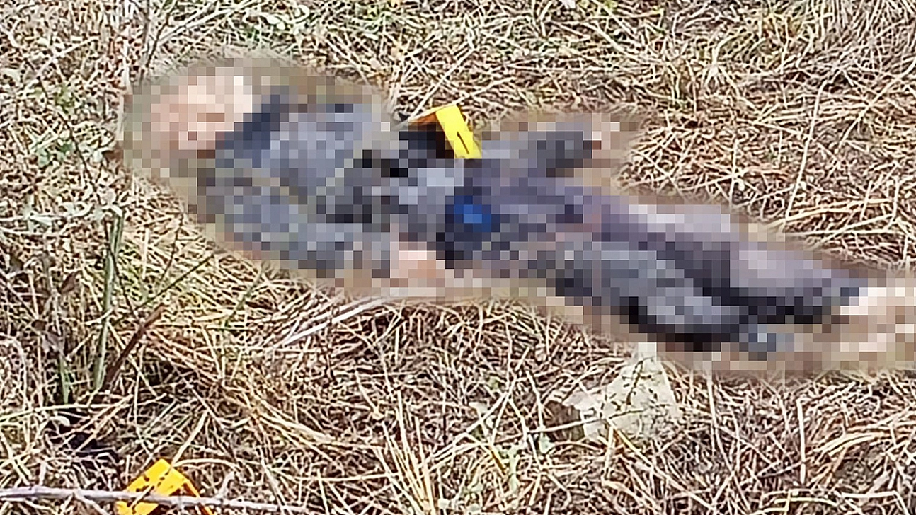 Malatya'da kayıp olarak aranan yaşlı adam ölü bulundu