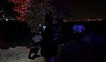 Ağaçta asılı halde ölü bulundu
