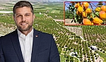 Baskil Kayısısı'nın size ne zararı var?