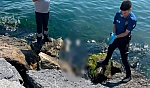Denizde 2'si kadın 3 ceset bulundu!