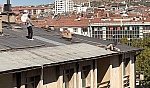 Elazığ'da pes dedirten güvenlik önlemi