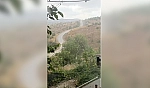 Elazığ'da sağanak yağış etkili oldu