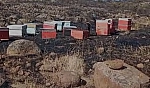 Elazığ'da yangın arıcıların emeğini kül etti