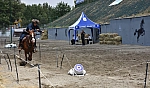 Elazığlı sporcular atlı okçuluk yarı finalinde