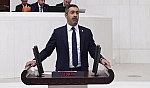 Işıkver, Maden'in 15 tarihi eserini TBMM gündemine taşıdı