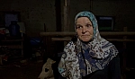 Komşu vahşeti: Dananın kuyruğunu kopardı
