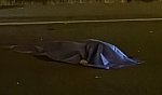 Otomobilin çarptığı yaya hayatını kaybetti