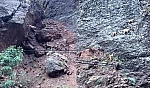 Tunceli'de Dağ Keçilerinden Nefes Kesen Atlayış: O Anlar Kamerada