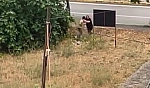 Yeğen vahşeti! Amcasını palayla öldürdü