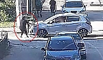 Yürek yakan kazada yeni karar: Serbest bırakılmıştı, tutuklandı