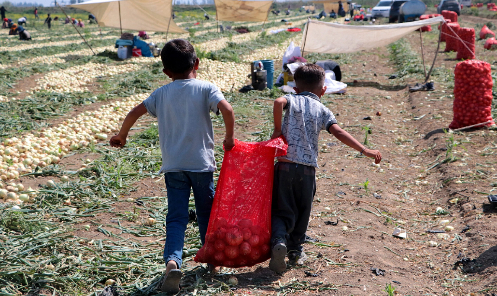 Elazığ'ın Asla Çözülmeyen Sorunu!
