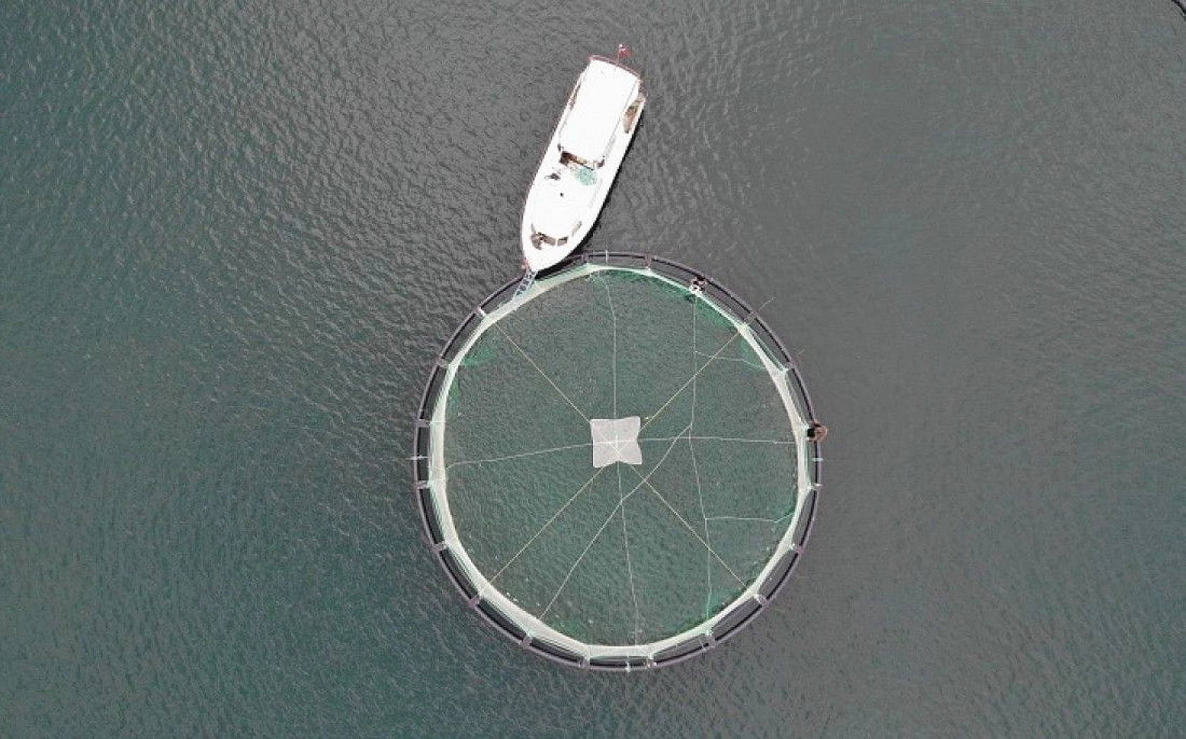 Keban Baraj Gölü'nün 'Balıkçı Annesi'