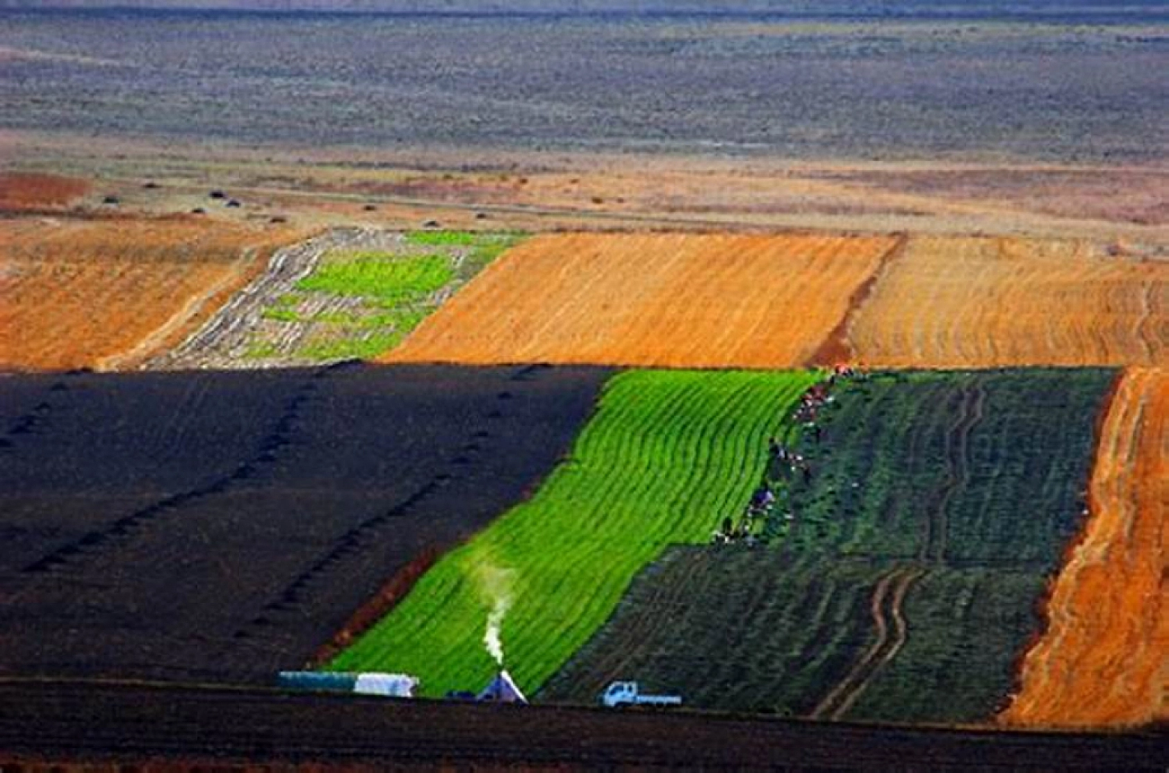 Elazığ'da 45 Bin TL'ye arsa: Milli Emlak'tan dev fırsat