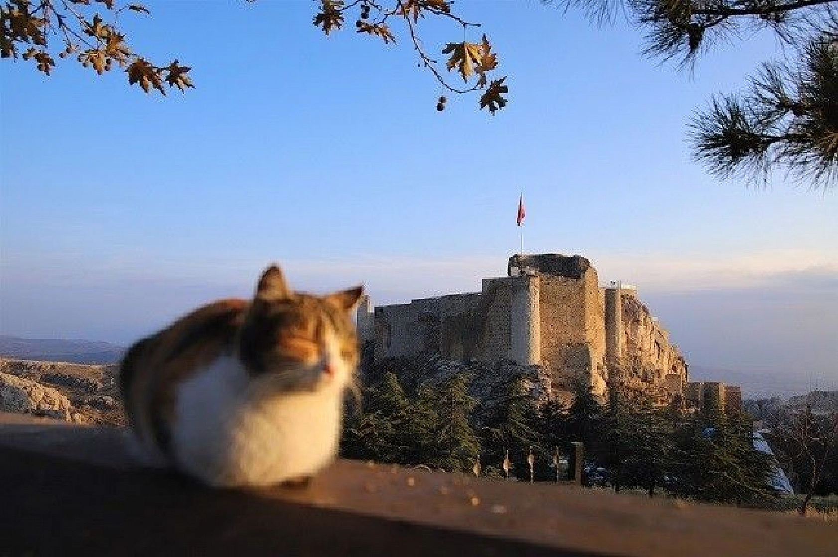 Sessizliğe Bürünen Medeniyetler Beşiği Harput'ta Sonbahar Güzelliği