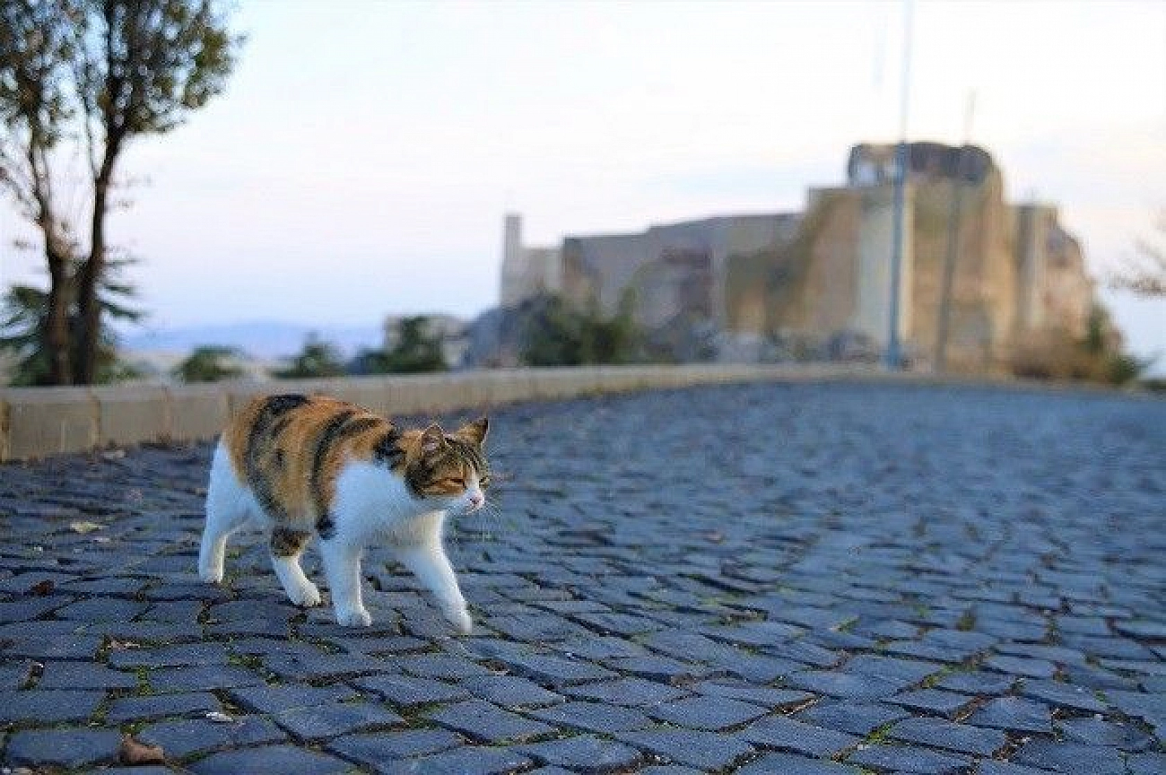 Sessizliğe Bürünen Medeniyetler Beşiği Harput'ta Sonbahar Güzelliği