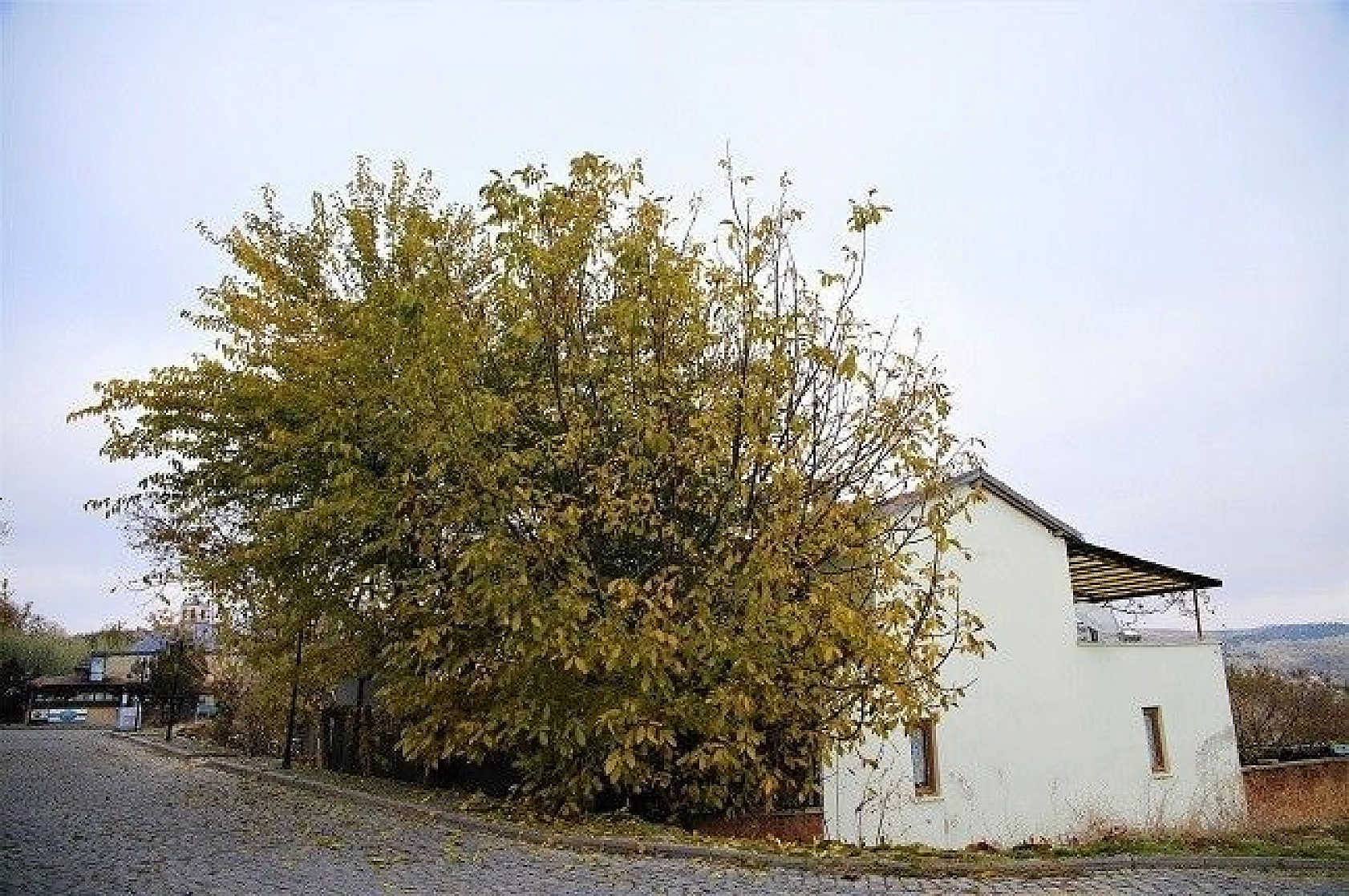 Sessizliğe Bürünen Medeniyetler Beşiği Harput'ta Sonbahar Güzelliği