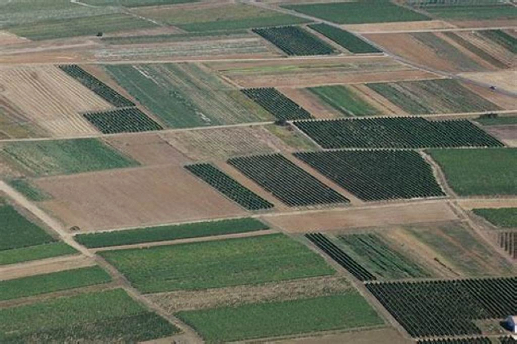 Elazığ'da 45 Bin TL'ye arsa: Milli Emlak'tan dev fırsat