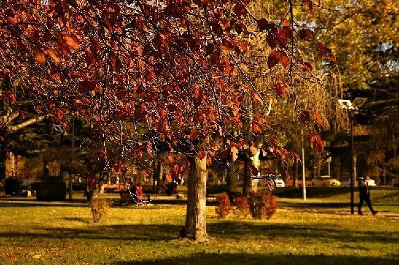 Elazığ'da sonbaharın son demleri görsel şölen oluşturuyor