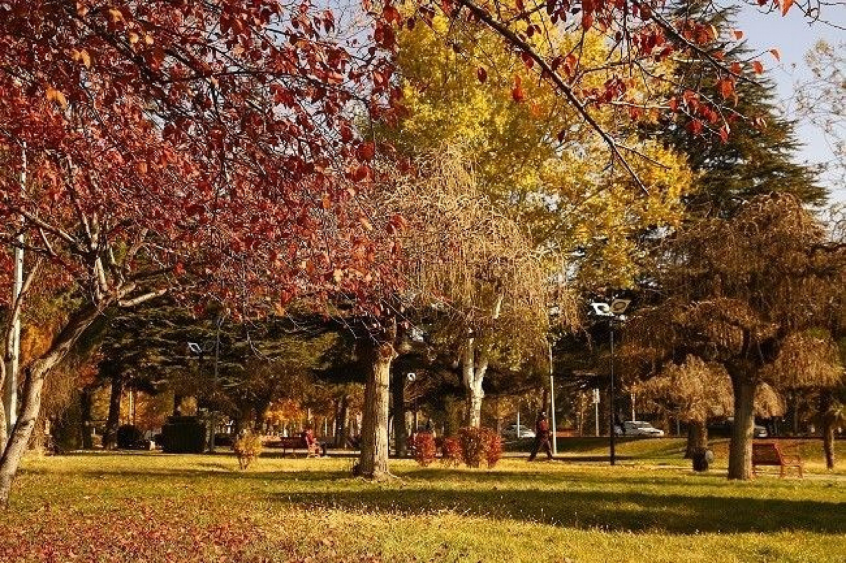 Elazığ'da sonbaharın son demleri görsel şölen oluşturuyor
