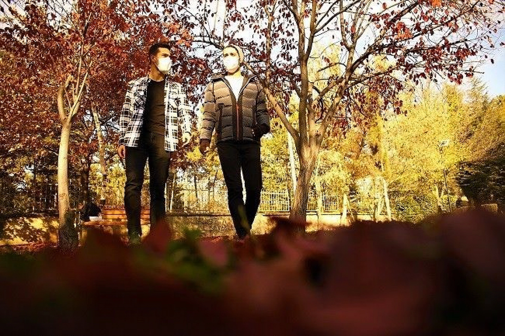 Elazığ'da sonbaharın son demleri görsel şölen oluşturuyor