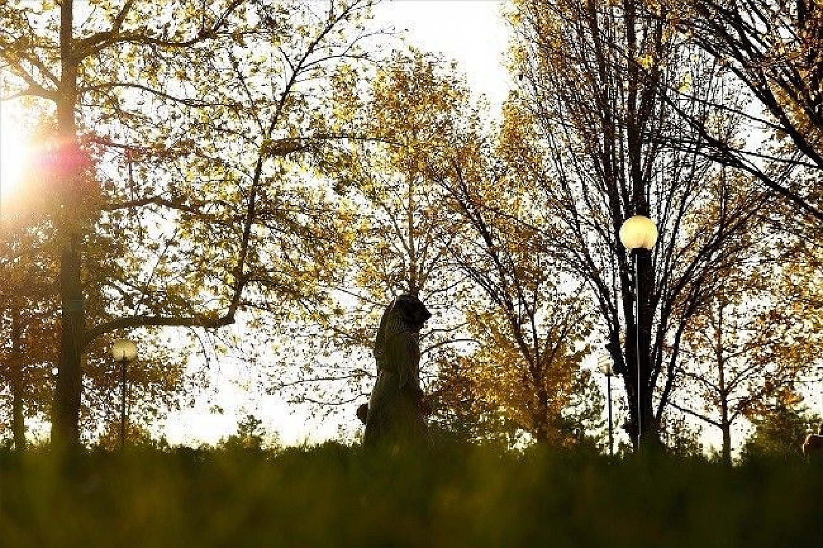 Elazığ'da sonbaharın son demleri görsel şölen oluşturuyor