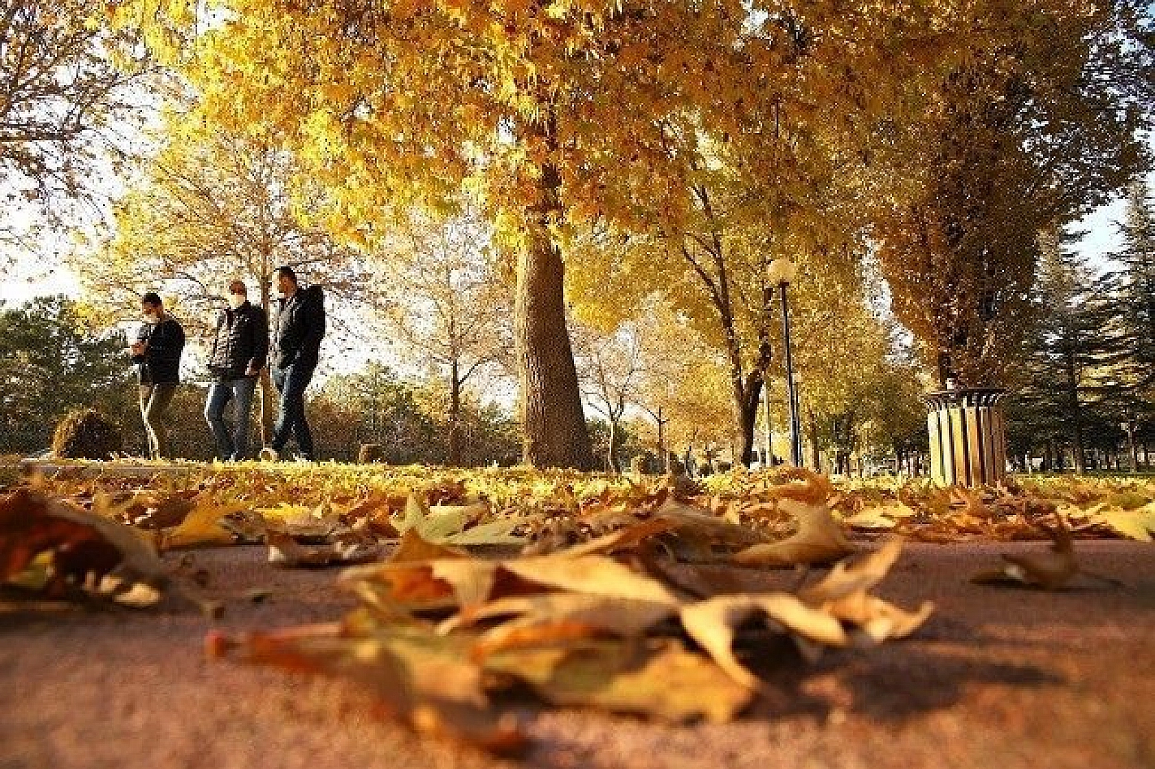 Elazığ'da sonbaharın son demleri görsel şölen oluşturuyor