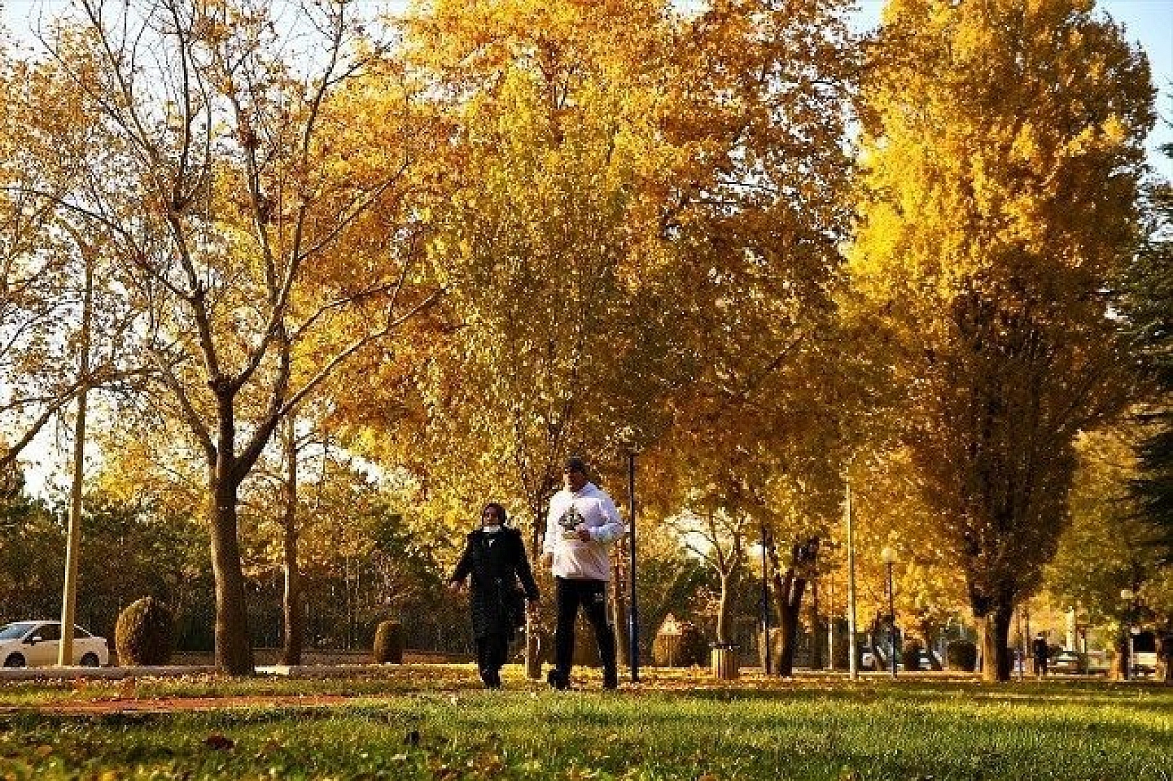 Elazığ'da sonbaharın son demleri görsel şölen oluşturuyor