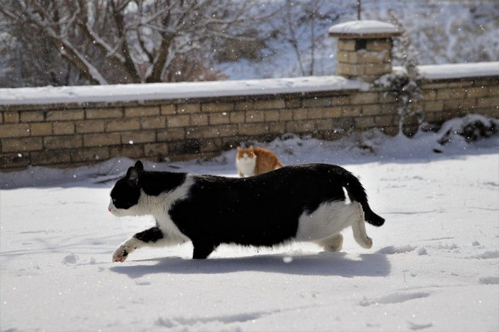 Bin 200 rakımlı Harput'ta kar güzelliği