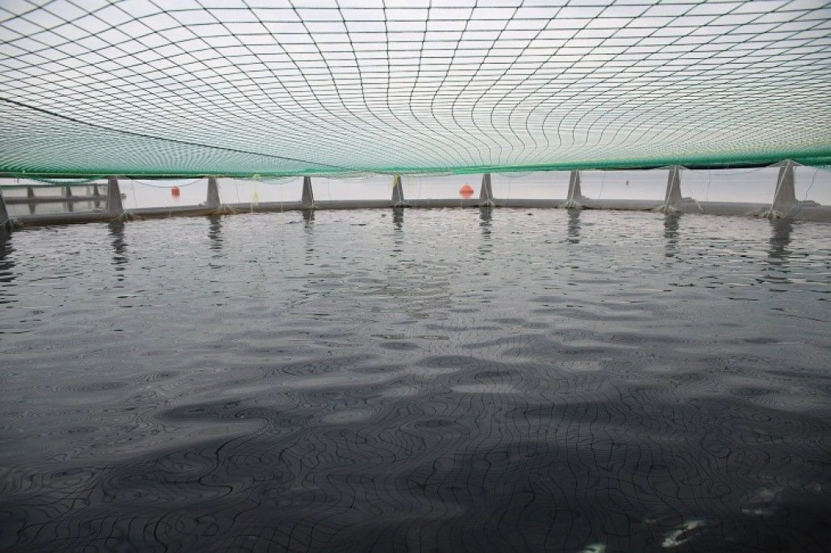 Keban Baraj Gölü'nün 'Balıkçı Annesi'