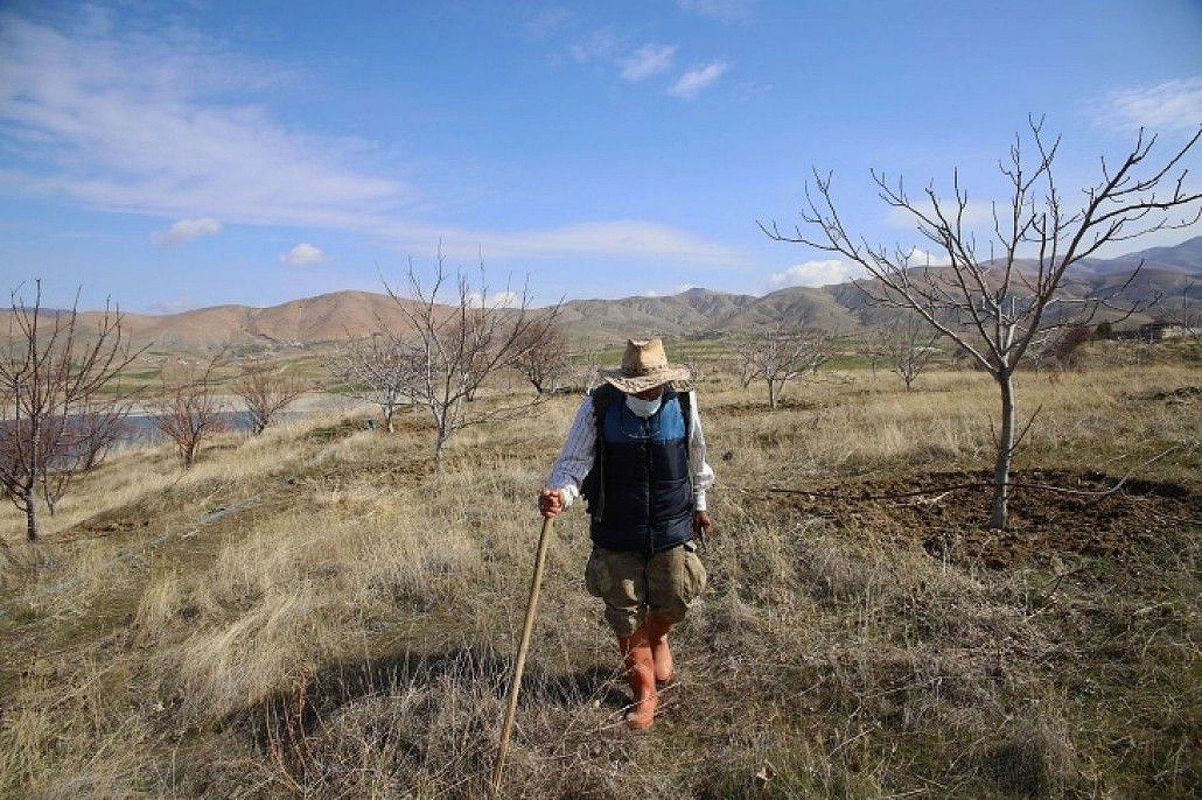 Adada çiçekler açtı