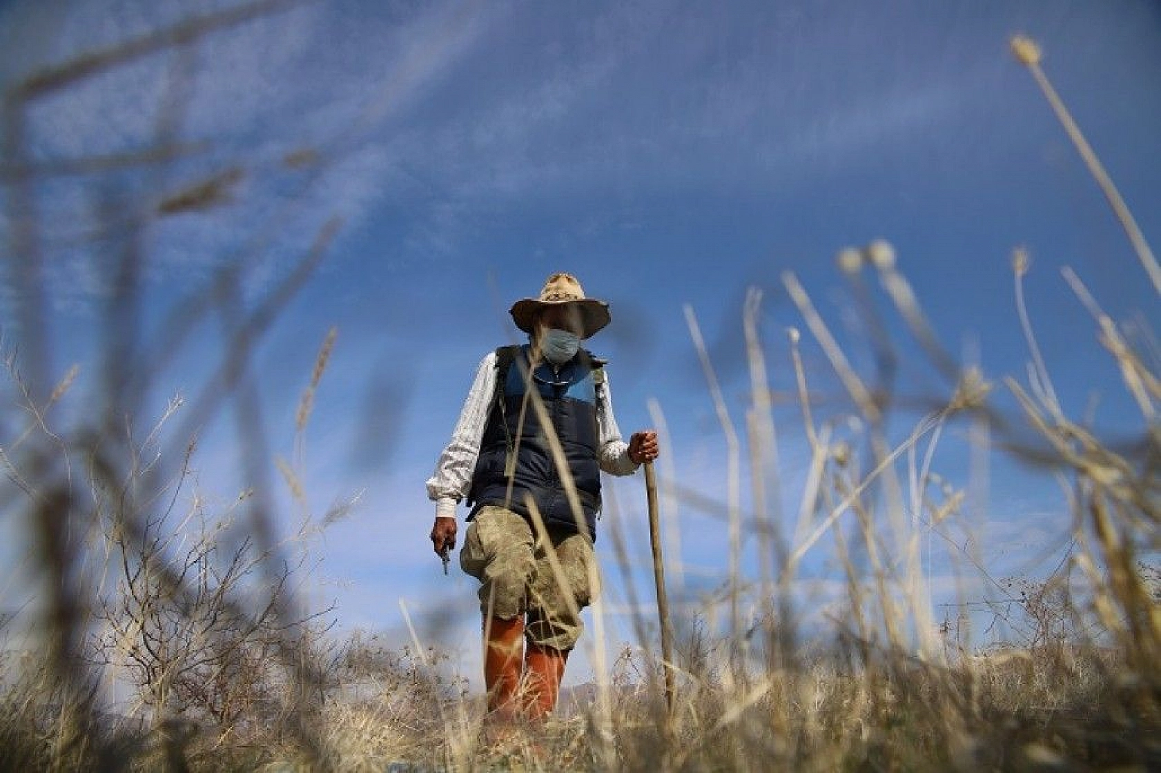 Adada çiçekler açtı