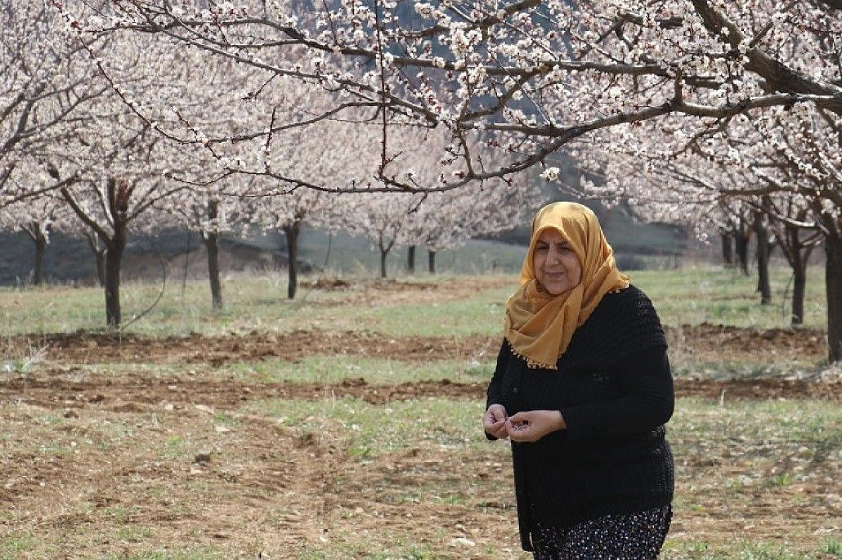 Elazığ'da ağaçlar beyaz gelinliğini giydi, muhteşem görüntü ortaya çıktı