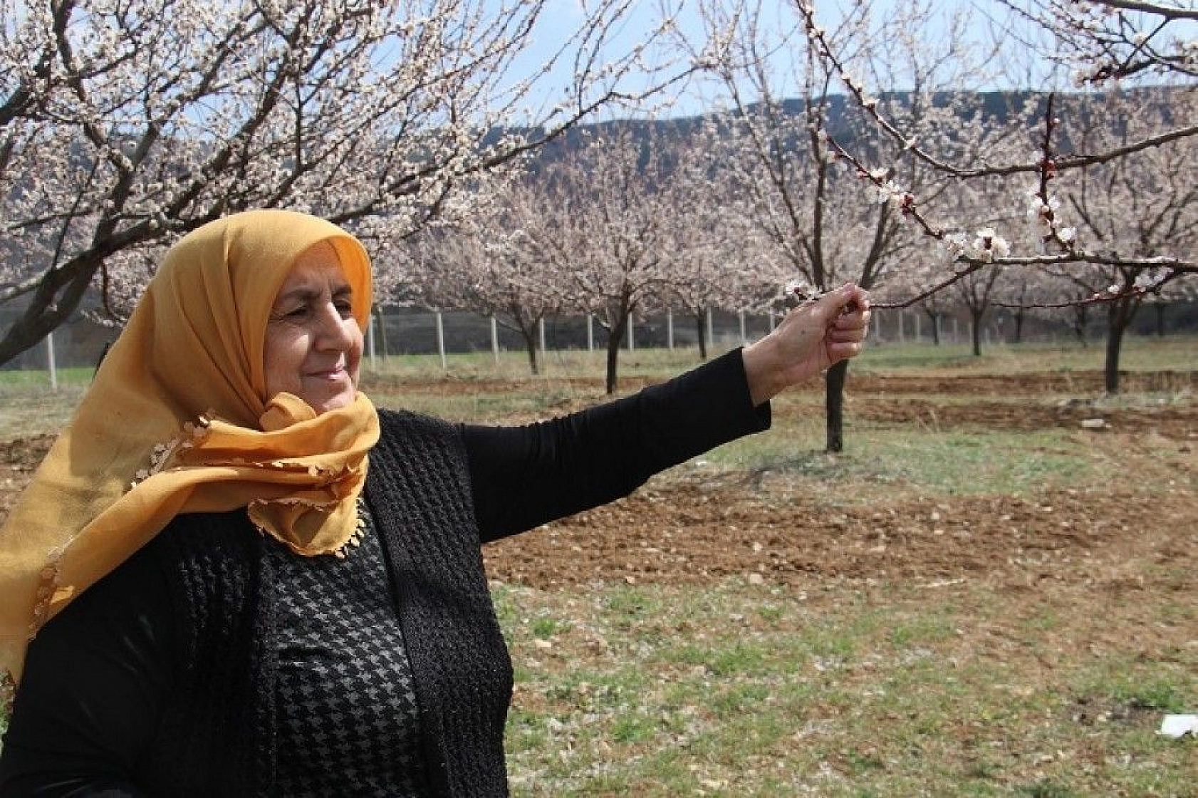 Elazığ'da ağaçlar beyaz gelinliğini giydi, muhteşem görüntü ortaya çıktı